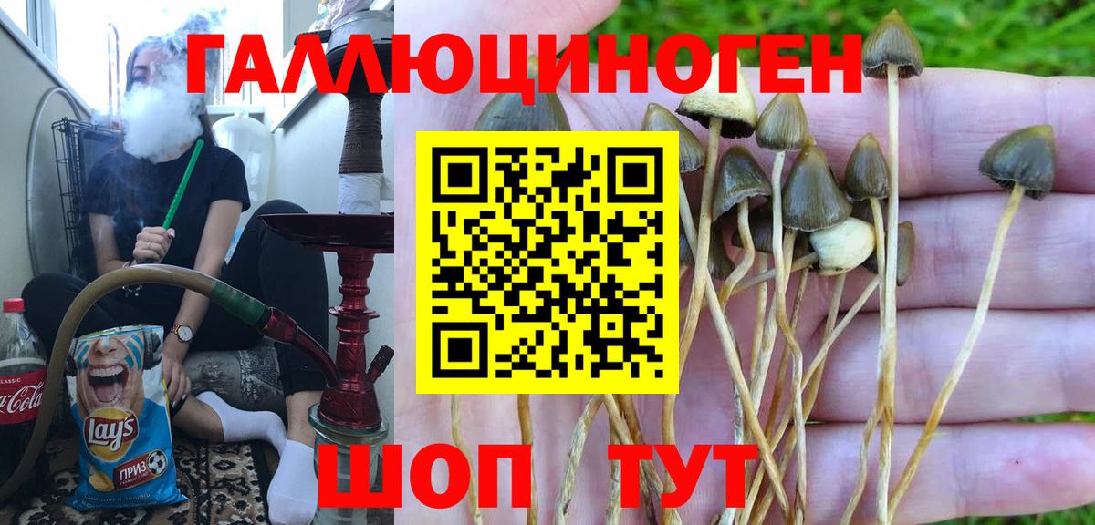 Галлюциногенные грибы Psilocybine cubensis  Вход с VPN  Биробиджан 